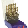 Wiertło Tivoly HSS 25 szt. Zestaw do wiercenia w punktach podzielonych