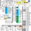 16/32 Bit RISC Flash MCU, Arm Cortex-R5F, EMAC, FlexRay, Auto Q-100 | ZWT | 337 | -40 to 125