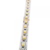 Taśma LED RGBNW 96LED/m 15W/m rolka 5m