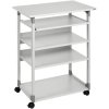 Durable 372010 SYSTEM PC Workstation Trolley Variable Height 750x534mm Grey