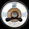 125060 Miniature speaker LSM-66M/F, 0.5 W, 8 ohms
