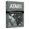 RealSports Volleyball (gray)