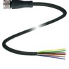 Pepperl+Fuchs 239998-0010 Złącze konfekcjonowane czujnika/aktuatora V19-G-BK0,3M-PUR-U, piny: 8, 0.3 m, 1 szt.