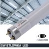 Świetlówka Led T8 G13 150Cm 25W 6000K 3200Lm Pc Prescot Flicker Free