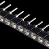 EA FL-10P Socket connector for EA DOG series 104...