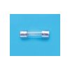 Belfuse 5ET 10-R Micro Fuse 10A 250V Bulk 1piece