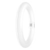 tuba LED OSRAM HOMELIGHTING 4099854042621 G10q 11 W = 22 W biały