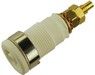 SEB2600G-WS