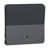 MUREVA STYL Klawisz z okienkiem IP55 antracyt MUR34204 SCHNEIDER ELECTRIC