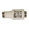 Wkładka Bezpiecznikowa 25A Dii Gf / Biwts 500V Ac/440V Dc E27 002312107