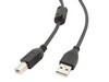 CCF-USB2-AMBM-6