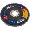 Sealey FD10040E Flap Disc Aluminium Oxide Ø100mm Ø16mm Bore 40Grit