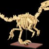 402891 CaDA Velociraptor dinosaur fossil bricks