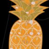 WSXL107 Soldering kit XL pineapple, light effects