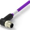 Sensor actuator cable, M12-cable plug, angled to open end, 2 pole, 0.5 m, PUR, purple, 4 A, TAB62246501-001