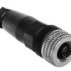 Złącze żeńskie M12 proste 5-pinowe dławica Pg7 metal XZCC12FDM50B