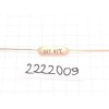 B21-97C3A250V