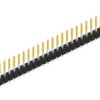Pin header, 30 pole, pitch 2.54 mm, straight, black, 10054085