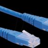 21151524 Patch cable Cat. 6, UTP, blue, 0.5 m