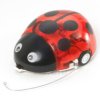 Pololu Tamiya 70195 Wall-Hugging Ladybug