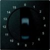 Merten System M Płytka centralna łącznika czasowego 15min antracyt MTN539014