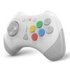 Retro Fighters D6 Dreamcast Controller - White