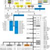 Enhanced Product 16/32 Bit RISC Flash Arm Cortex-R4F, EMAC, FlexRay | GWT | 337 | -55 to 125