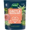 Westland 10200094 Cacti & Succulent Potting Mix 4 litre