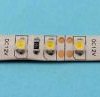 LC-3528-60LED-4.8W-CW ROLKA=5m