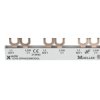 Szyna łączeniowa 2P 63A 10mm2 widełkowa (6 mod.) EVG-2PHAS/6MODUL 215642