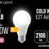 Żarówka LED E27 A65 17W 2100lm 6000K klasa E Forever Light