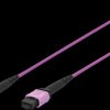 DK-2566-03/4 Fiber optic patch cable, OM4, MPO, violet, 3 m