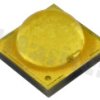 XPGDWT-BS-0000-00M7E-30ES5