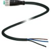 Pepperl+Fuchs 239998-0019 Złącze konfekcjonowane czujnika/aktuatora 2 m Ilość pinów: 3 1 szt.
