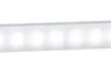 LED light, 1.5 W, 24 V, 6500 K, LF1B-NA4P-2THWW2-3M