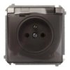 Simon Basic Gniazdo bryzgoszczelne z/u IP44 z klapką dymną stal inox BMGZ1B.01/21a