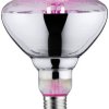 Lampa LED do roślin wspomagająca wzrost Paulmann 28737 230 V E-27 6.5 W 1 szt.