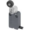 Pizzato NF B112KG-DN2 Limit Switch 250V AC 4A Pivot Lever Momentary IP67