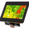 Kolorowy wyświetlacz LCD 4.3cal 480 x 272pikseli 24-bit I/F Tak Display Visions