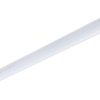 BN013C LED5S/830 L300 LEDINAIRE