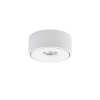 Lampa sufitowa LED Brumberg 12066173 12066173 14.2 W 1370 lm biały