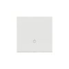 Simon 55 Klawisz pojedynczy z piktogramem światło do: SP1M Jasnoszary mat TKWS1/114
