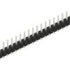 Pin header, 24 pole, pitch 2.54 mm, straight, black, 10053840