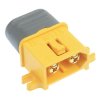 XT60L-M Male Gold Plated Connector 30A AMASS