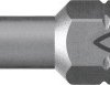 Bity Fischer FPB T 30 PROFI Bit W 10 557849 10 szt.