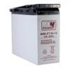 Akumulator VRLA AGM 12V 55Ah (żywotność 10-12lat) MWL FT 55-12