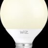 1410189511 WiZ G2 WarmWhite G95 E27