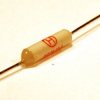 TERMIK RH03B-100 2A 250V