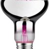 Lampa LED do roślin wspomagająca wzrost Paulmann 28733 230 V E-27 6.5 W 1 szt.