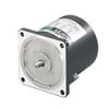 Silnik AC 25 W Oriental Motor 220 / 230 V 1 -fazowy, indukcyjny